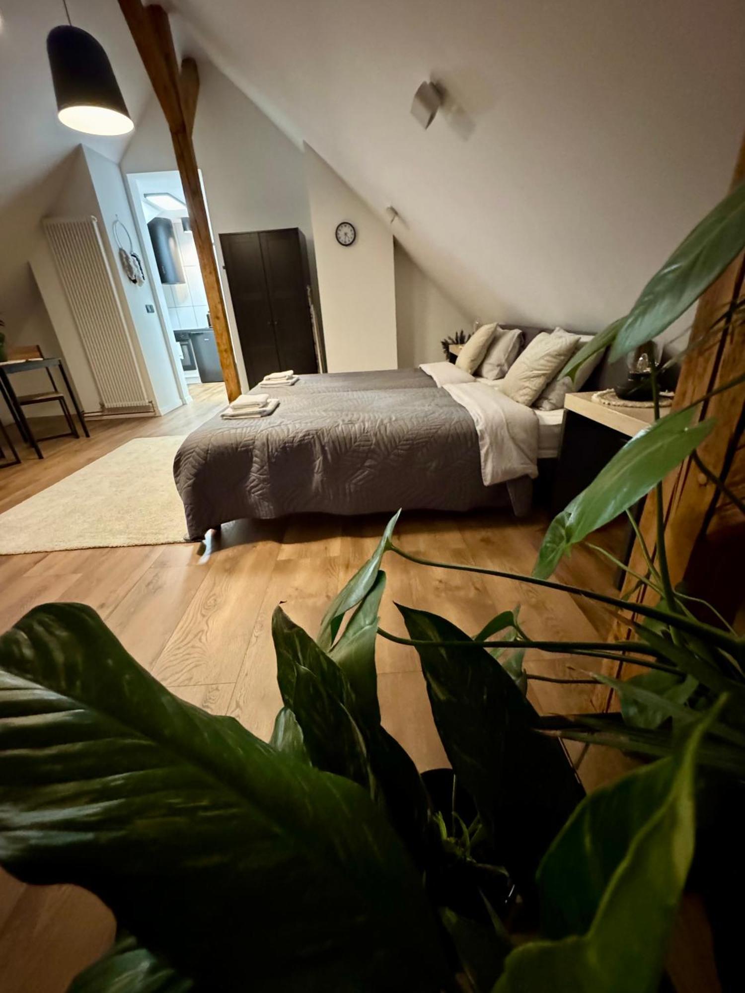 Apartamenty Astor - Ksiezycowy Szczawno-Zdroj Exteriör bild